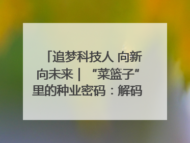 追梦科技人 向新向未来｜“菜篮子”里的种业密码：解码南京蔬菜分子育种的创新之路