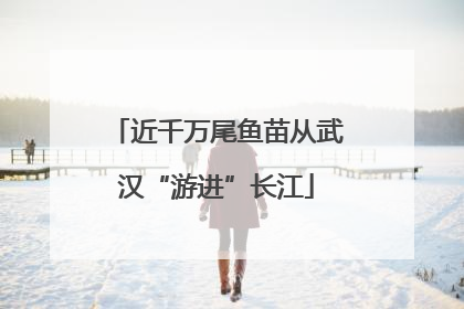 近千万尾鱼苗从武汉“游进”长江