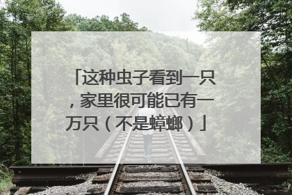 这种虫子看到一只，家里很可能已有一万只（不是蟑螂）
