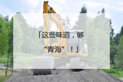 这些味道，够“青海”！