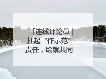 连线评论员｜扛起“作示范”责任，绘就共同富裕新图景