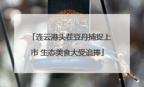 连云港头茬豆丹捕捉上市 生态美食大受追捧