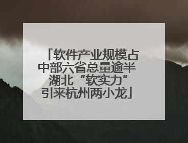 软件产业规模占中部六省总量逾半 湖北“软实力”引来杭州两小龙