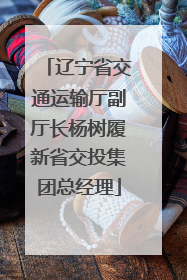 辽宁省交通运输厅副厅长杨树履新省交投集团总经理