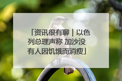 资讯很有聊｜以色列总理声称 加沙没有人因饥饿而消瘦