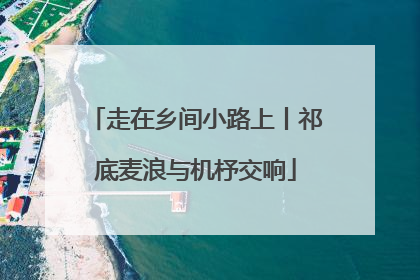 走在乡间小路上丨祁底麦浪与机杼交响