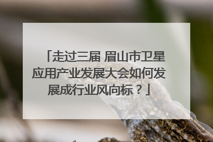 走过三届 眉山市卫星应用产业发展大会如何发展成行业风向标？