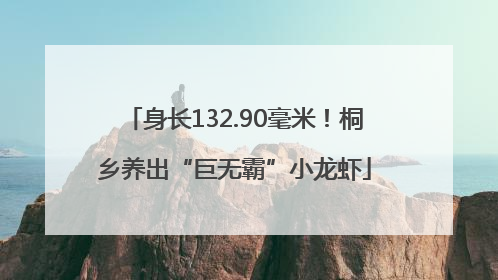 身长132.90毫米！桐乡养出“巨无霸”小龙虾