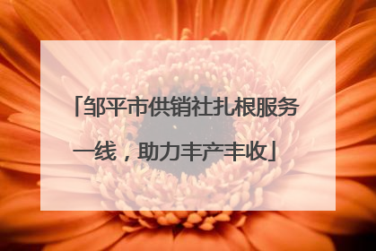 邹平市供销社扎根服务一线，助力丰产丰收