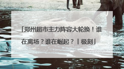 郑州超市主力阵容大轮换！谁在离场？谁在崛起？丨极刻