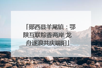 郧西县羊尾镇：鄂陕互联粽香两岸 龙舟逐浪共庆端阳