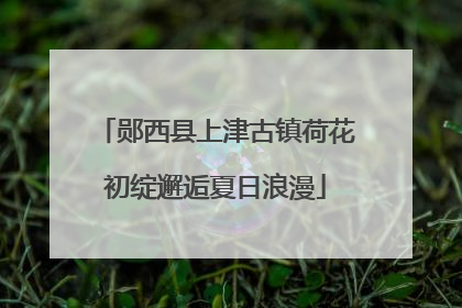 郧西县上津古镇荷花初绽邂逅夏日浪漫