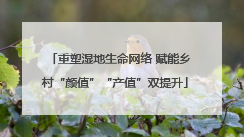 重塑湿地生命网络 赋能乡村“颜值”“产值”双提升
