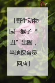 野生动物园一猴子“丑”出圈，当地保育员回应