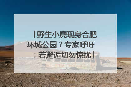野生小麂现身合肥环城公园？专家呼吁：若邂逅切勿惊扰