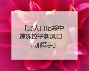 野人日记踩中速冻饺子新风口：加魔芋