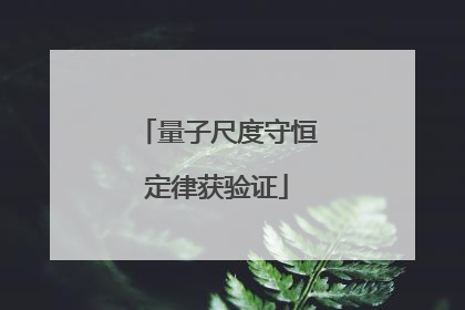 量子尺度守恒定律获验证