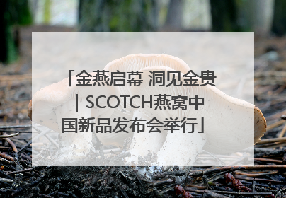 金燕启幕 洞见金贵｜SCOTCH燕窝中国新品发布会举行