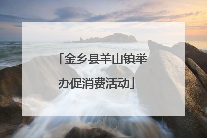 金乡县羊山镇举办促消费活动