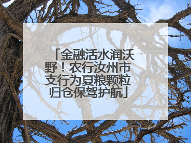 金融活水润沃野！农行汝州市支行为夏粮颗粒归仓保驾护航