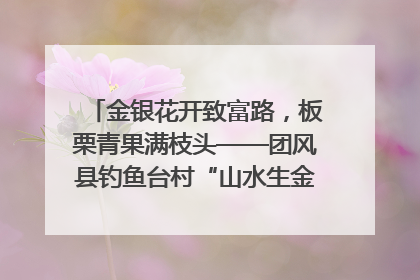 金银花开致富路，板栗青果满枝头——团风县钓鱼台村“山水生金”谱写共富新篇章