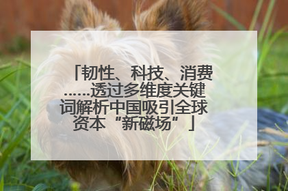 韧性、科技、消费……透过多维度关键词解析中国吸引全球资本“新磁场”