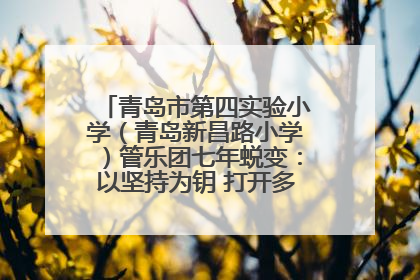 青岛市第四实验小学（青岛新昌路小学）管乐团七年蜕变：以坚持为钥 打开多元成长之门