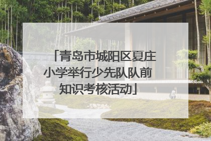 青岛市城阳区夏庄小学举行少先队队前知识考核活动