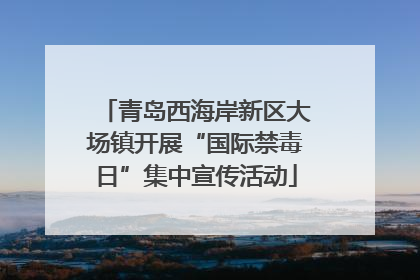 青岛西海岸新区大场镇开展“国际禁毒日”集中宣传活动