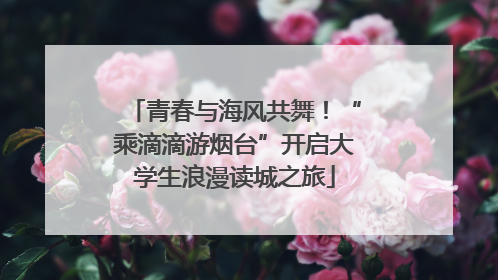 青春与海风共舞！“乘滴滴游烟台”开启大学生浪漫读城之旅