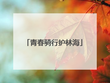 青春骑行护林海
