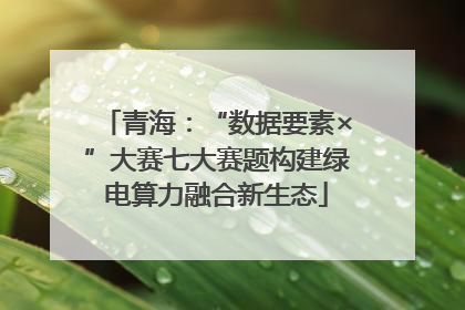 青海：“数据要素×”大赛七大赛题构建绿电算力融合新生态