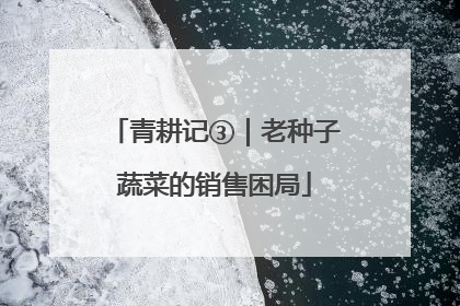 青耕记③｜老种子蔬菜的销售困局