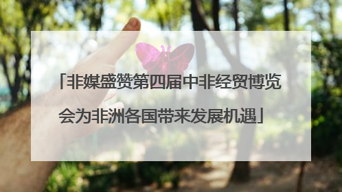 非媒盛赞第四届中非经贸博览会为非洲各国带来发展机遇