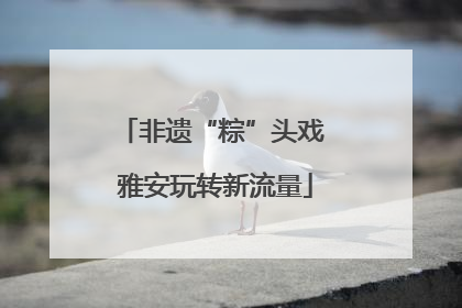 非遗“粽”头戏 雅安玩转新流量