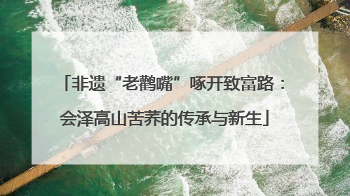 非遗“老鹳嘴”啄开致富路：会泽高山苦荞的传承与新生