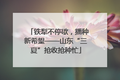 铁犁不停歇，播种新希望——山东“三夏”抢收抢种忙