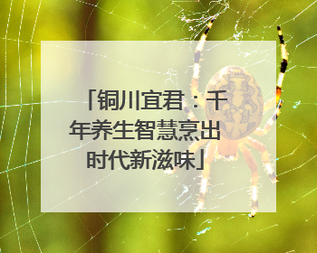 铜川宜君：千年养生智慧烹出时代新滋味