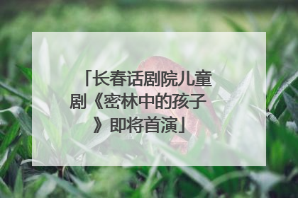长春话剧院儿童剧《密林中的孩子》即将首演