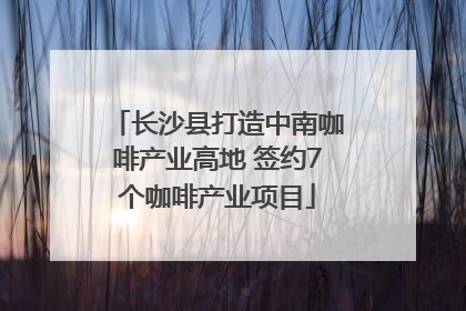 长沙县打造中南咖啡产业高地 签约7个咖啡产业项目