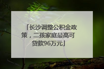 长沙调整公积金政策，二孩家庭最高可贷款96万元