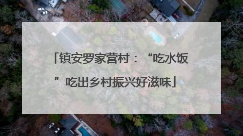 镇安罗家营村：“吃水饭”吃出乡村振兴好滋味