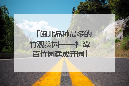 闽北品种最多的竹观赏园——杜潭百竹园建成开园
