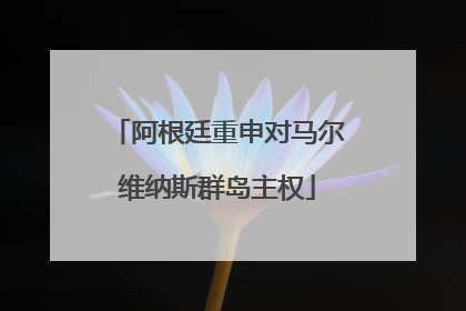 阿根廷重申对马尔维纳斯群岛主权