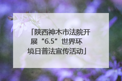 陕西神木市法院开展“6.5”世界环境日普法宣传活动