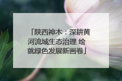 陕西神木：深耕黄河流域生态治理 绘就绿色发展新画卷