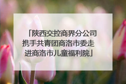 陕西交控商界分公司携手共青团商洛市委走进商洛市儿童福利院
