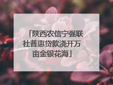 陕西农信宁强联社普惠贷款浇开万亩金银花海