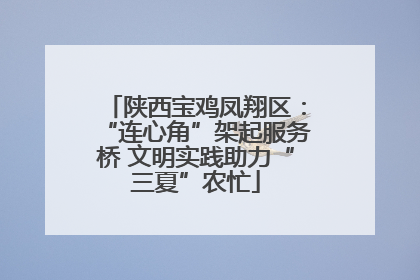 陕西宝鸡凤翔区：“连心角”架起服务桥 文明实践助力“三夏”农忙