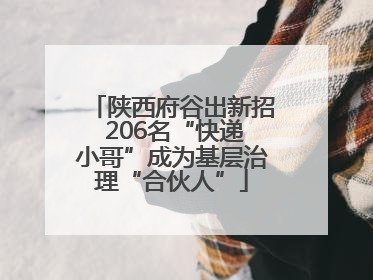 陕西府谷出新招 206名“快递小哥”成为基层治理“合伙人”